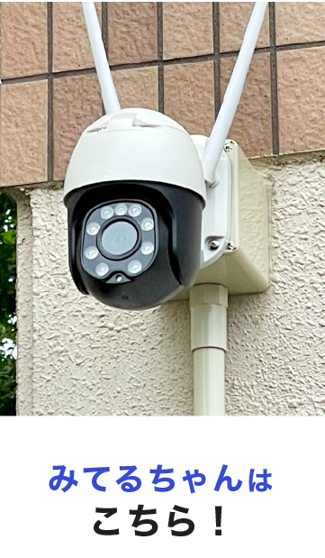 みてるちゃんはこちら!