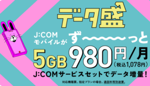 地デジ・電話などJCOMのお得なセットプランもおすすめ