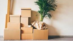 引越後のアンテナケーブル接続を楽にする方法