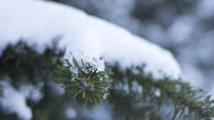 雪が降ると映りが悪い!テレビアンテナの雪対策5選や修理の相場を紹介