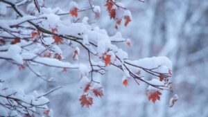 テレビアンテナ雪対策まとめ