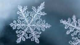 雪がテレビアンテナにもたらす影響