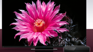 フナイテレビとは