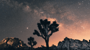 スターリンクはこんな人におすすめ