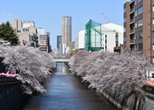 目黒区のアンテナ工事｜まとめ