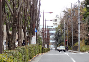 豊島区でおすすめのアンテナ工事業者まとめ