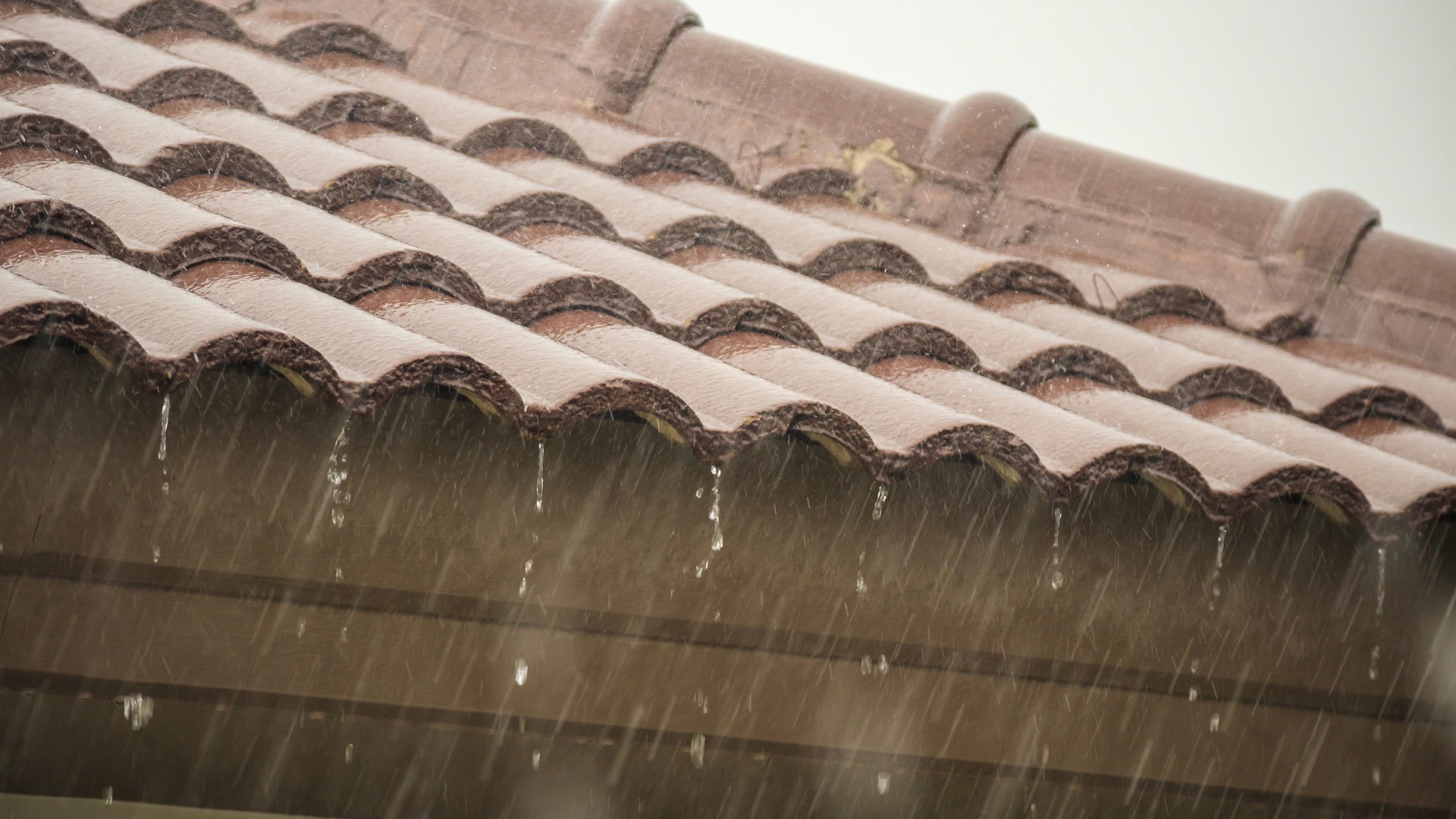 プロのアンテナ修理が必要な症状